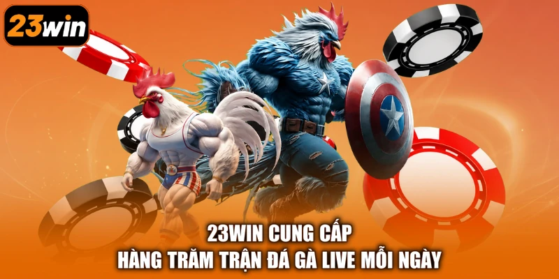 23Win cung cấp hàng trăm trận đá gà live mỗi ngày