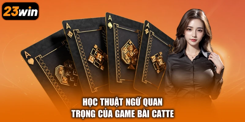 Học thuật ngữ quan trọng của game bài Catte