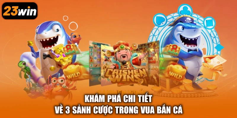 Khám phá chi tiết về 3 sảnh cược trong Vua Bắn Cá