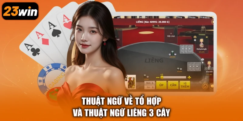 Thuật ngữ về tổ hợp và thuật ngữ Liêng 3 Cây